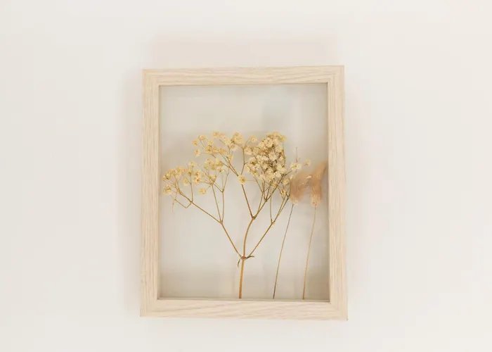 Casa Da Jackie By Rent-a-key * Funchal (Madeira)