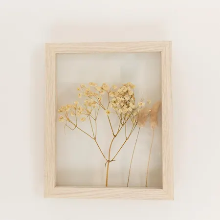 Casa Da Jackie By Rent-a-key * Funchal (Madeira)